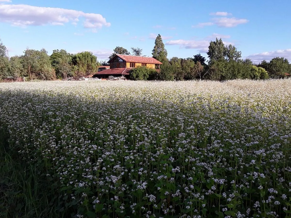 Bed and Breakfast Berdale Lagraulet-du-Gers Франция
